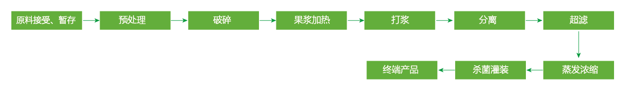 藍(lán)莓、草莓、桑葚濃縮汁